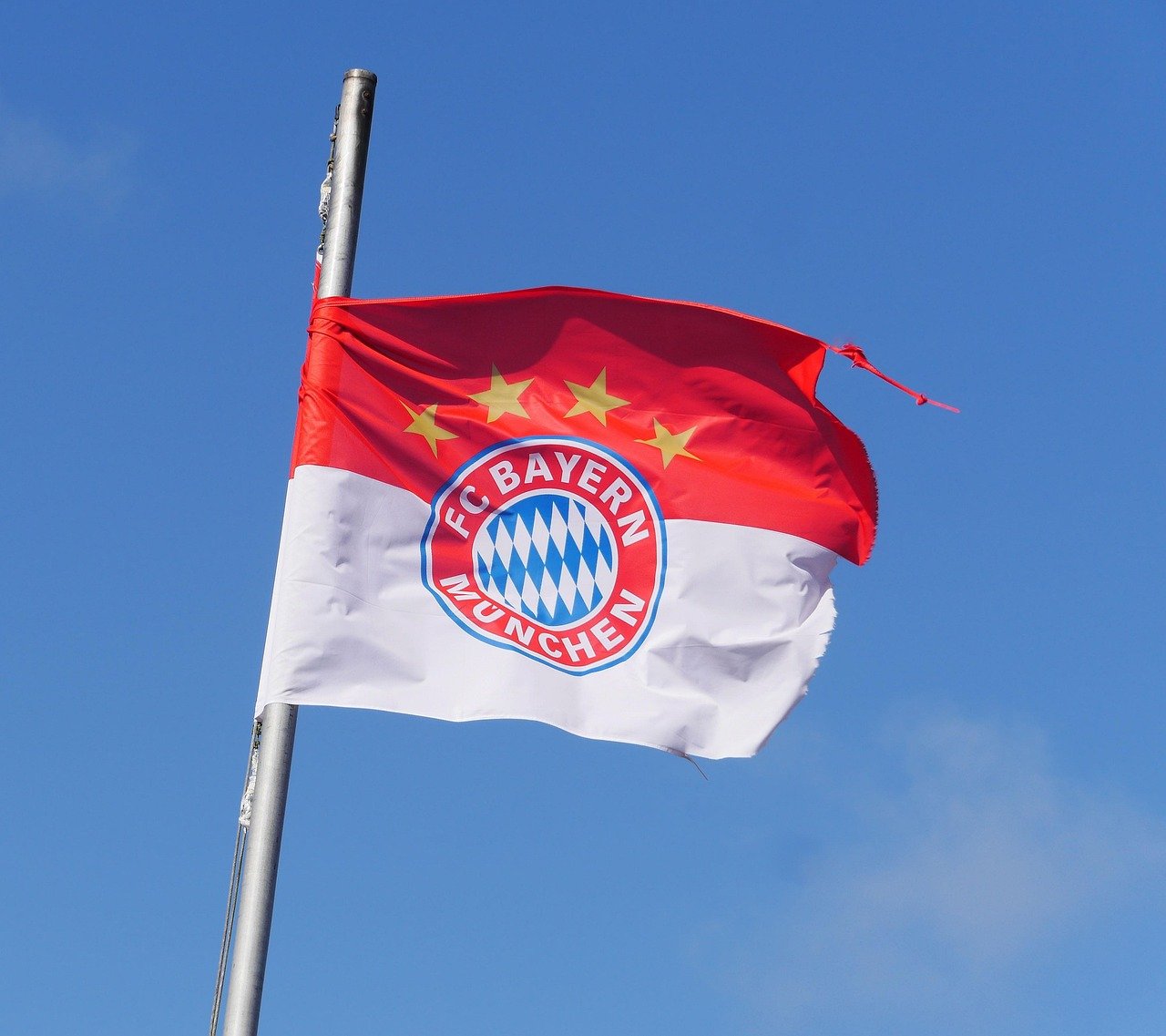 benfica vs bayern