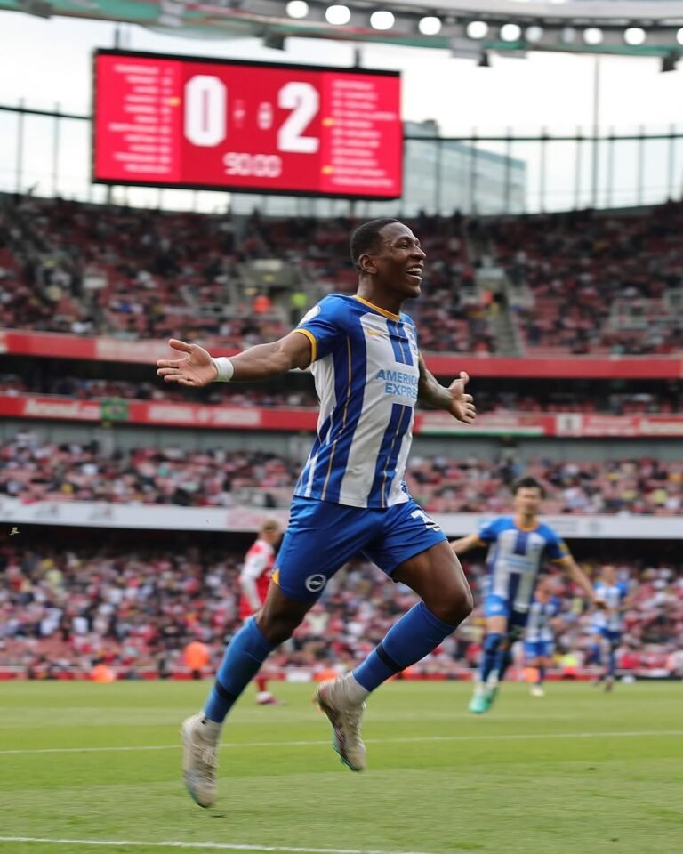 brighton transfer news