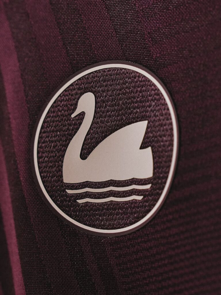 newsnow swansea