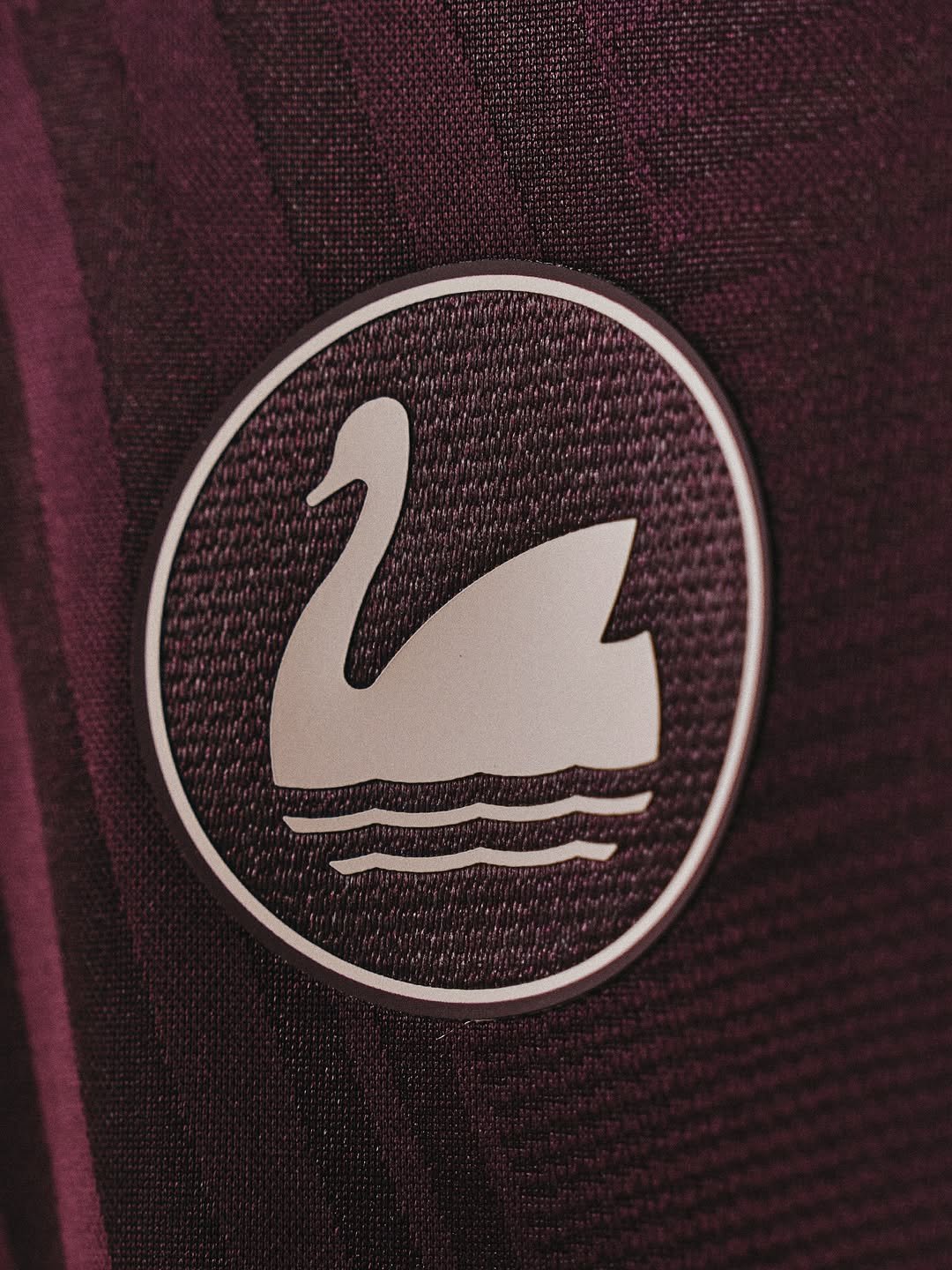 newsnow swansea