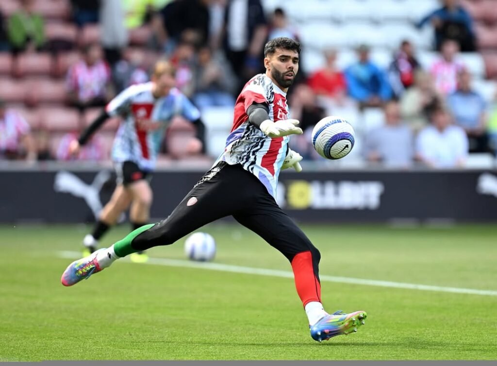 Outstanding David Raya Breaks Arsenal Record Again!