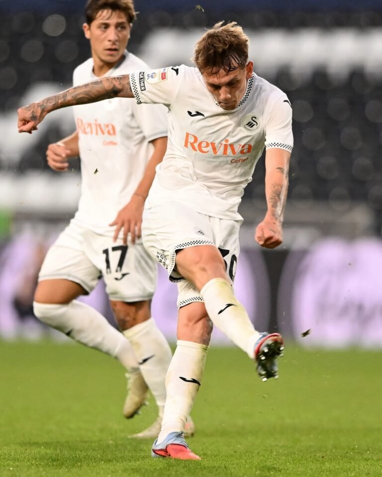 swansea city transfer