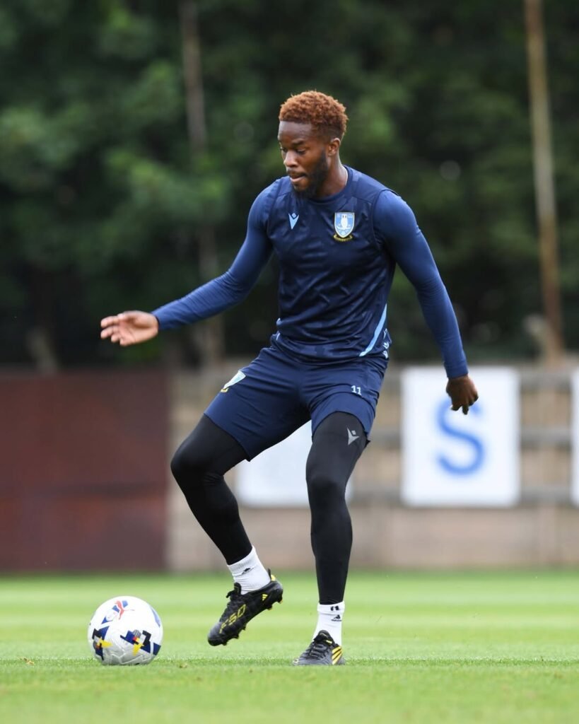 Sheffield Wednesday News: Crisis and Change